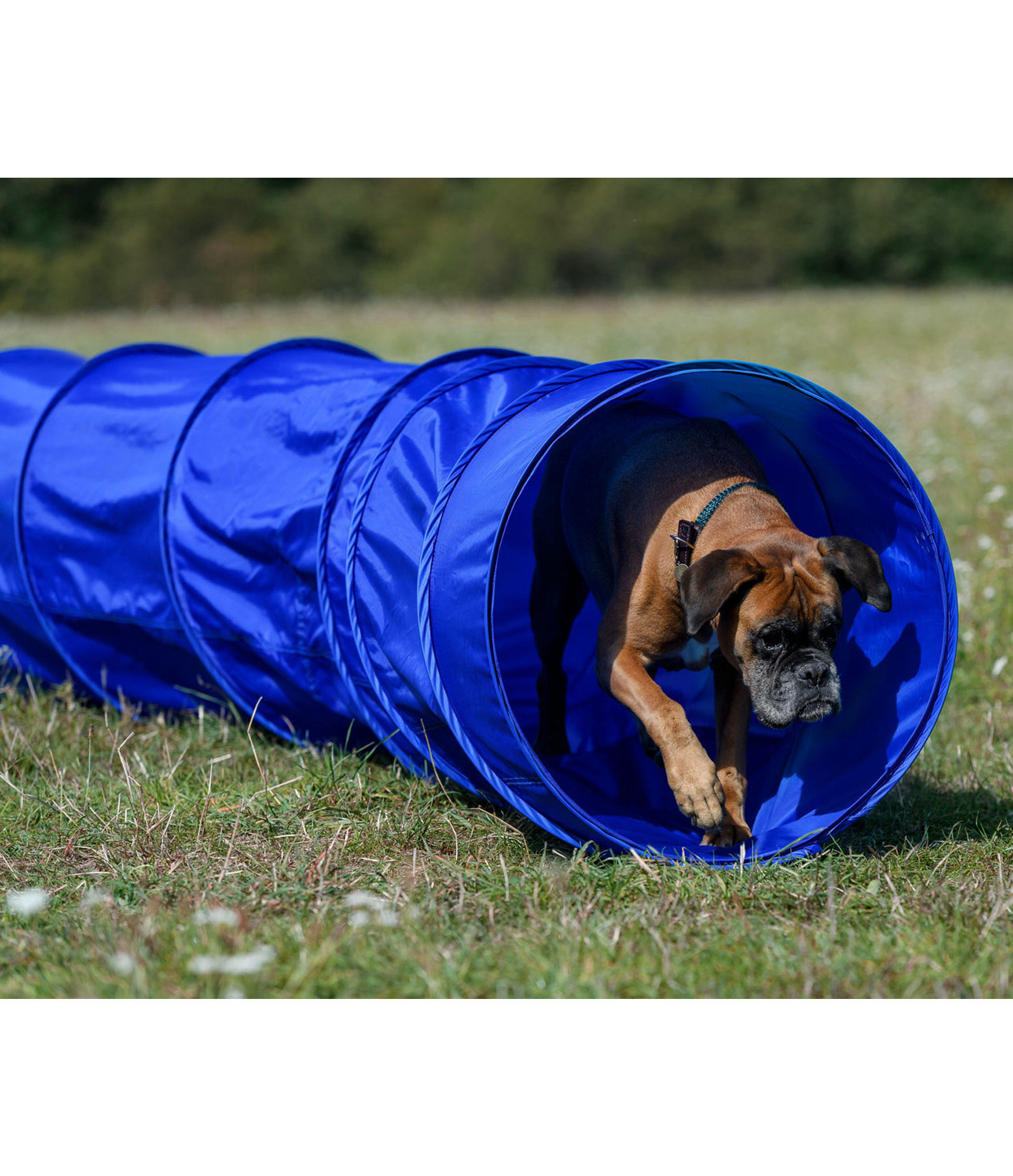 Tunnel agility