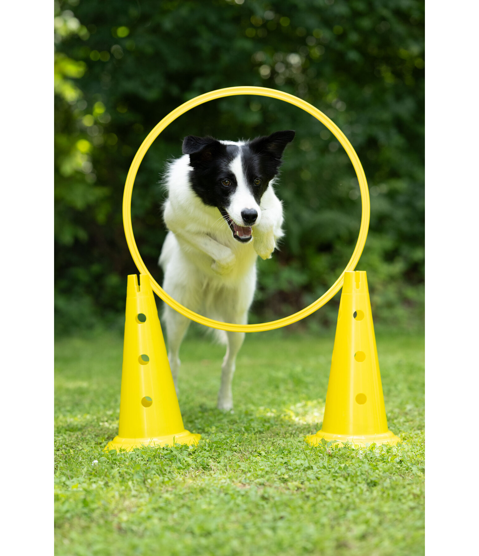 Cerchio agility