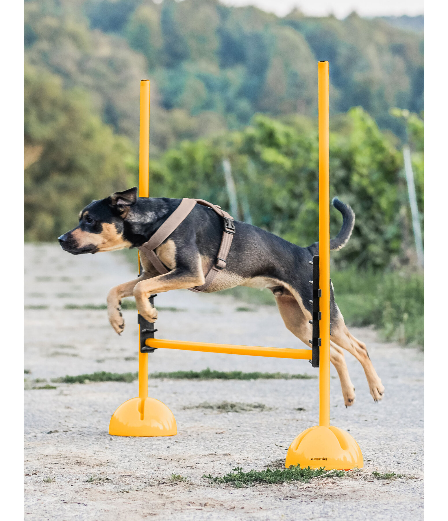 Sostegno per bastoni agility