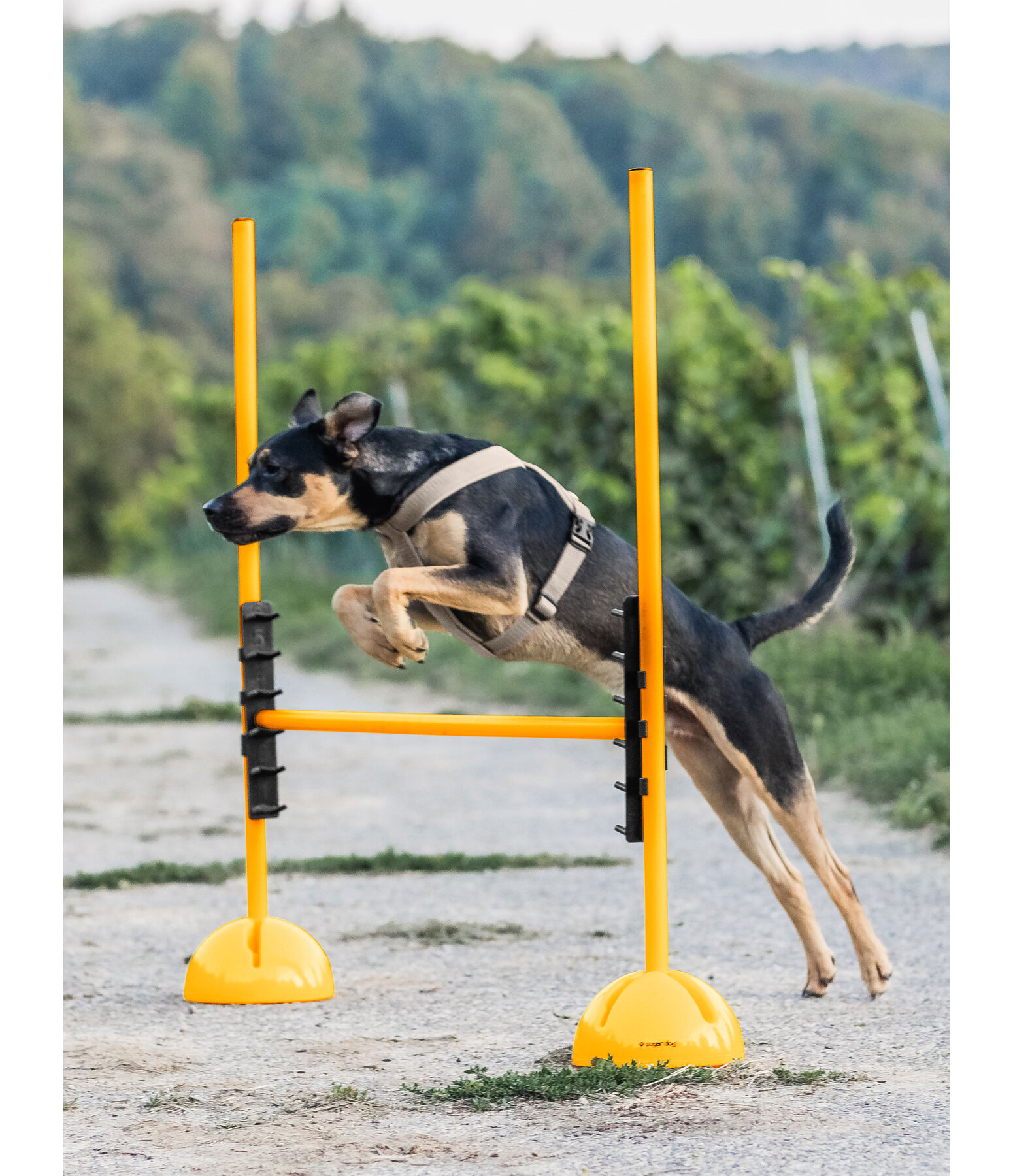 Sostegno per bastoni agility