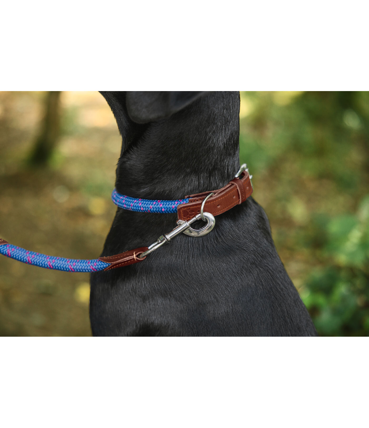 Collare Coloured Rope