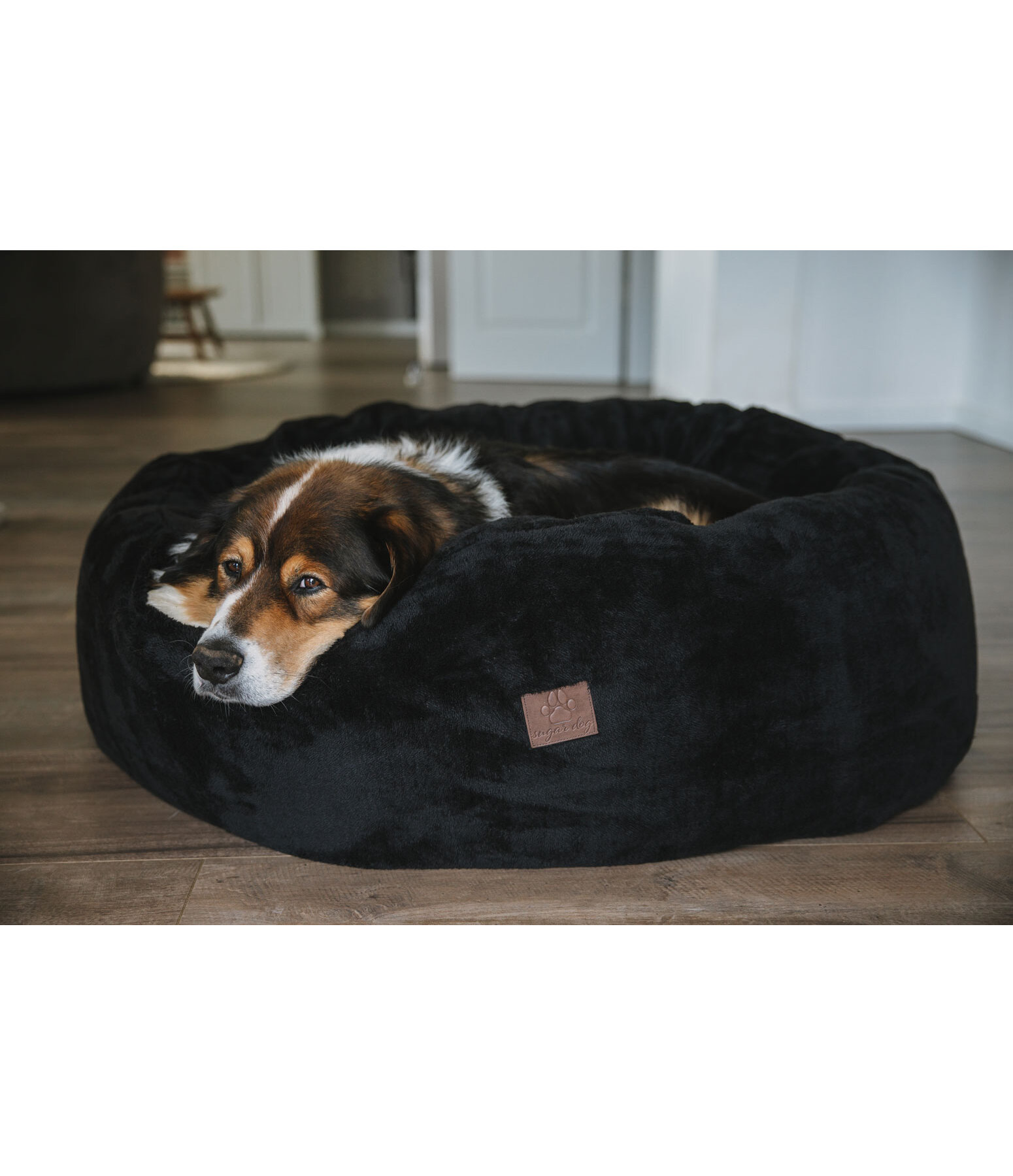 Cuccia di pelo per cani Quimba