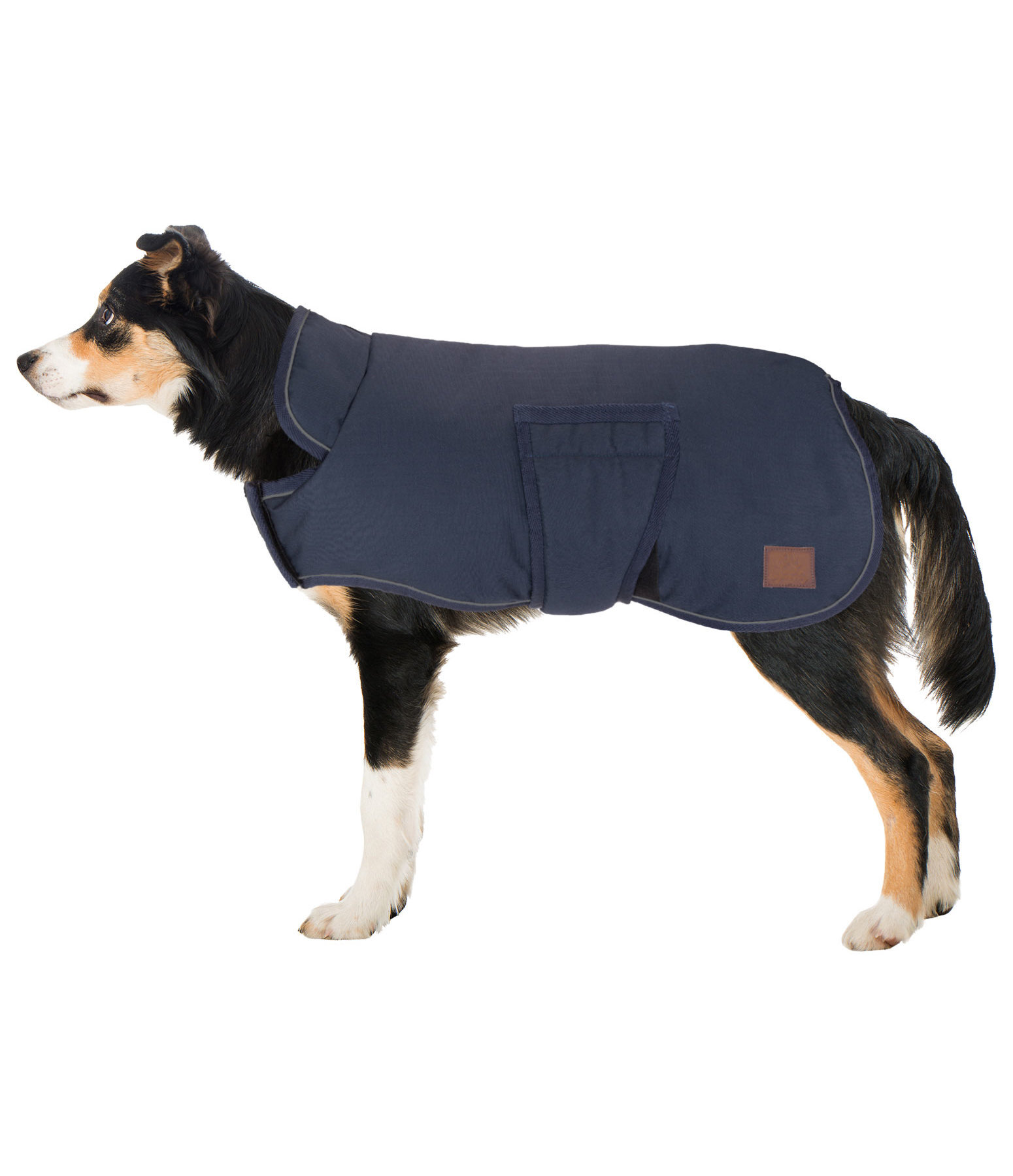 Cappotto invernale per cani Beaver Creek, 400 gr