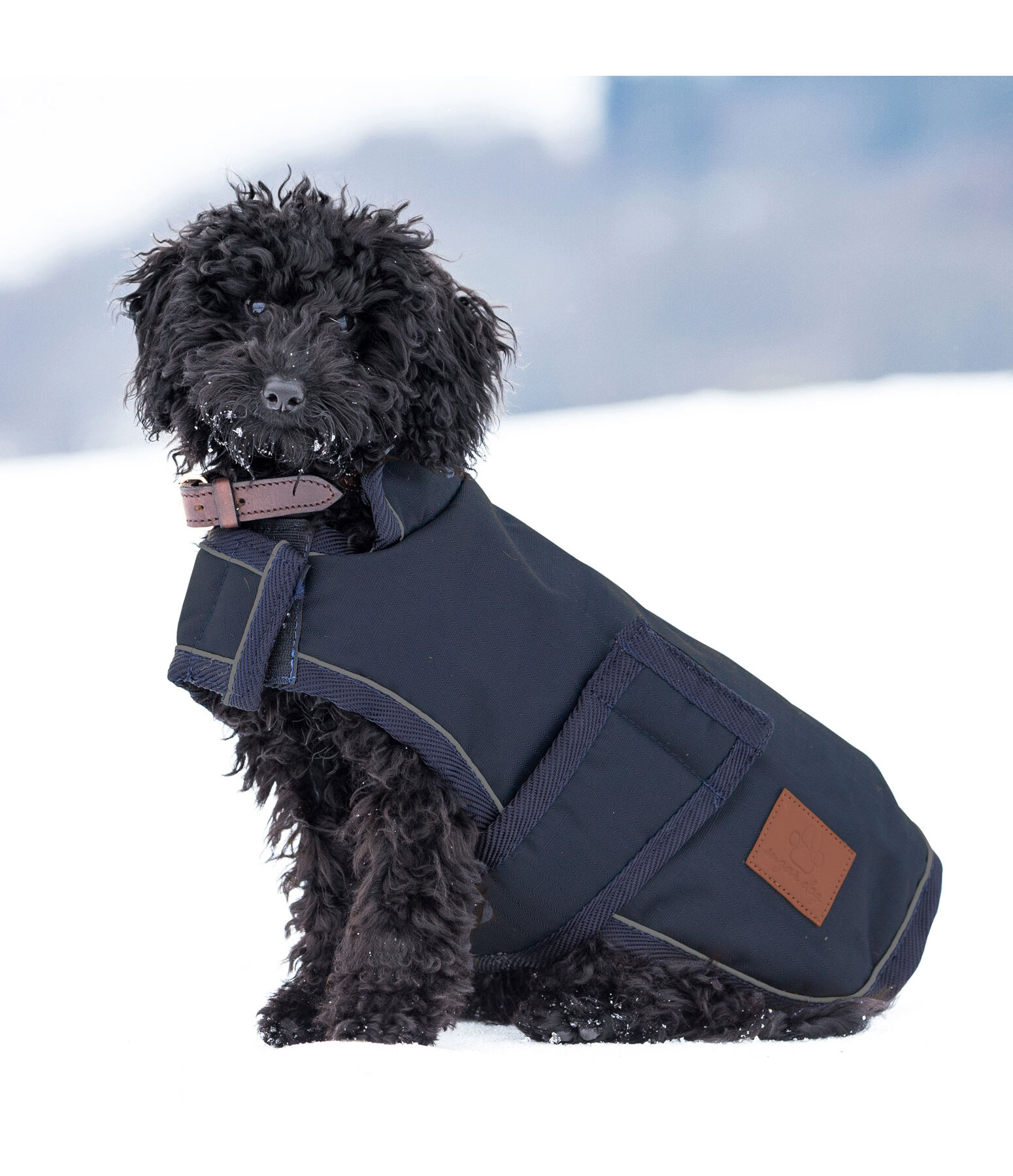 Cappotto invernale per cani Beaver Creek, 400 gr