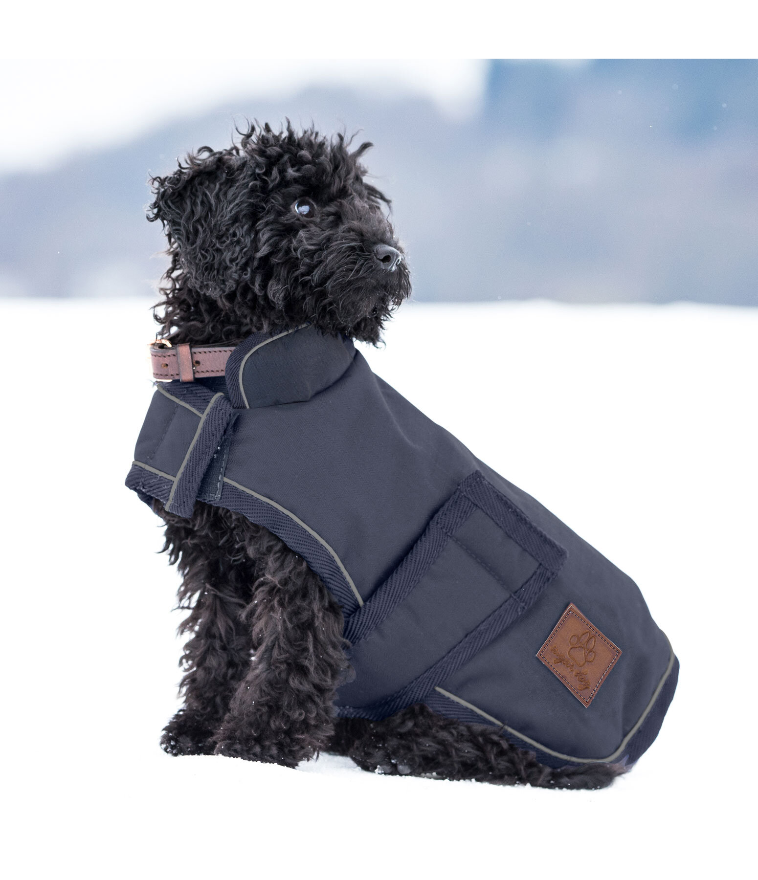 Cappotto invernale per cani Beaver Creek, 400 gr