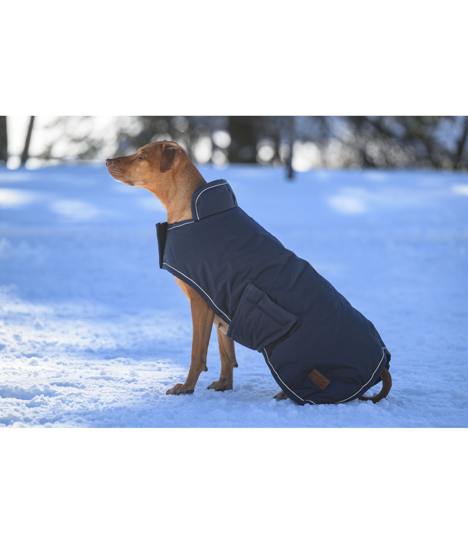 Cappotto invernale per cani Beaver Creek, 400 g