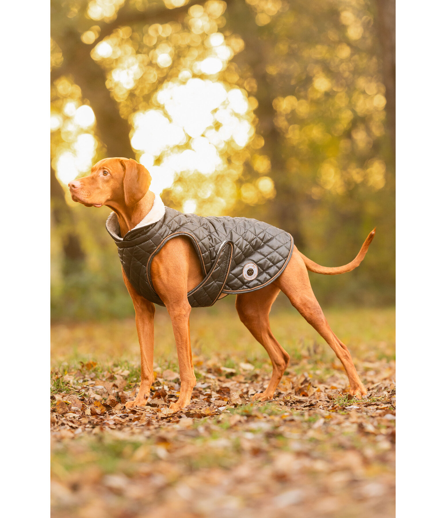 Cappotto per cani Archie con pelliccia sintetica, 160 g