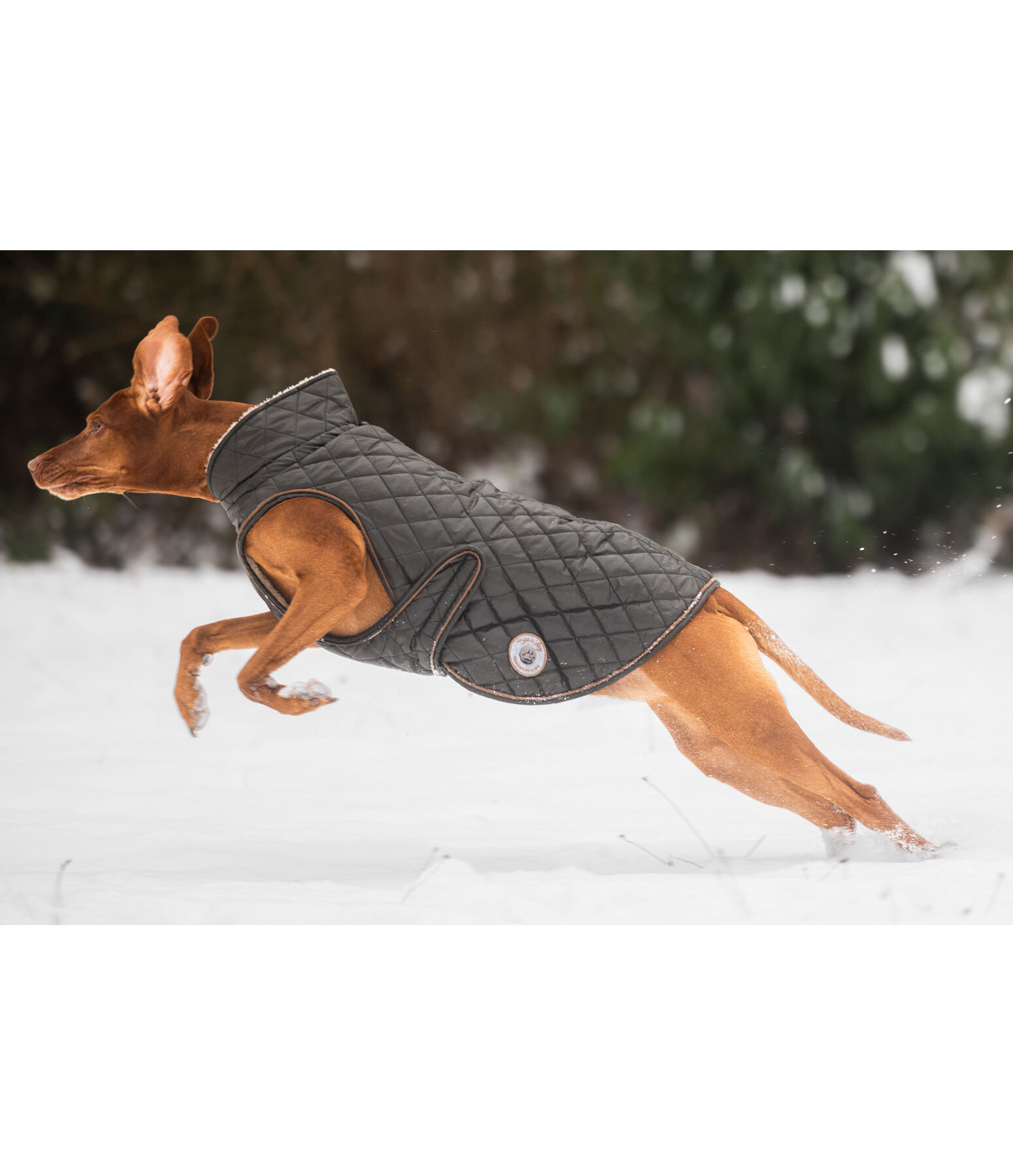 Cappotto per cani Archie con pelliccia sintetica, 160 g