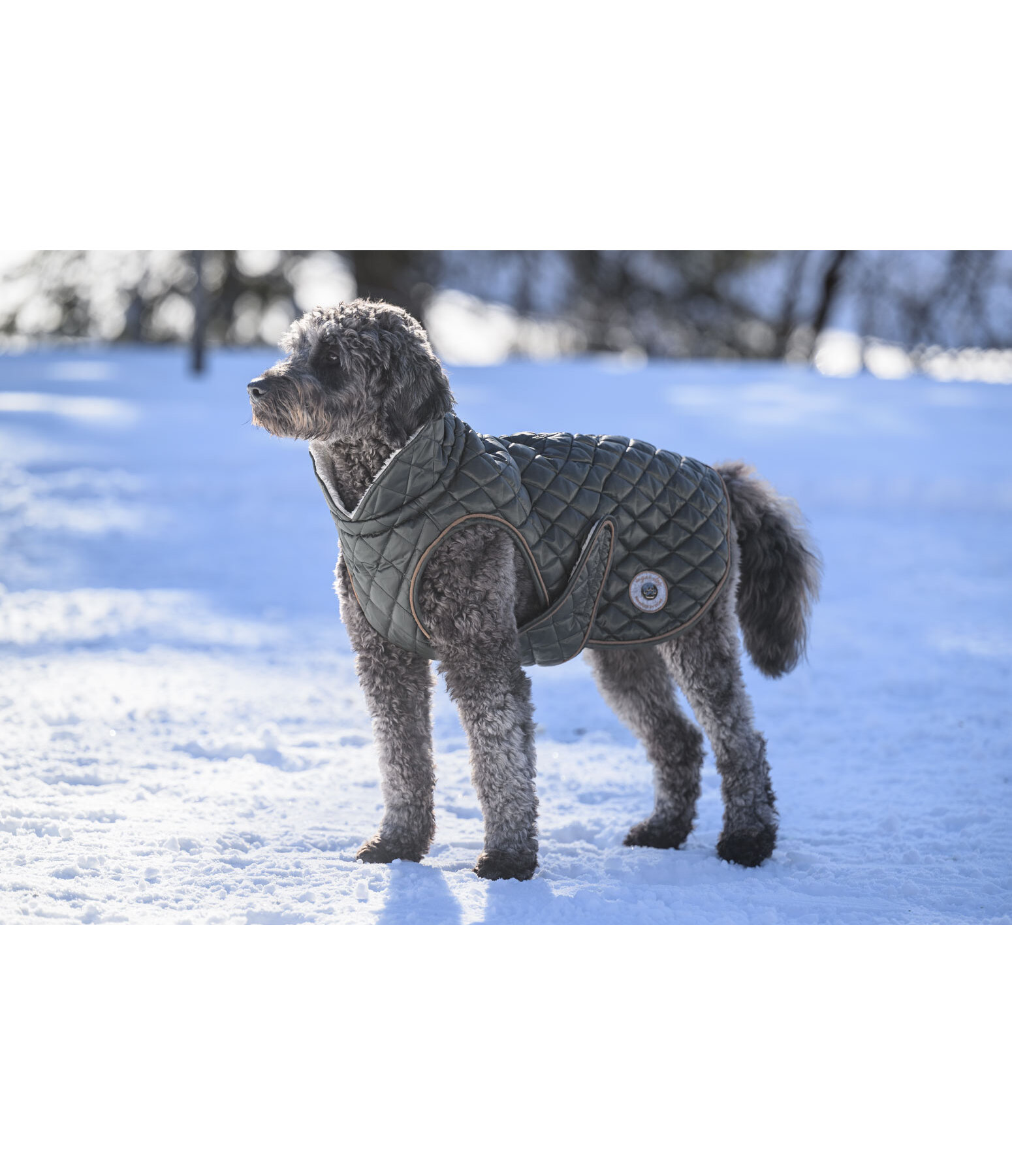 Cappotto per cani Archie con pelliccia sintetica, 160 g