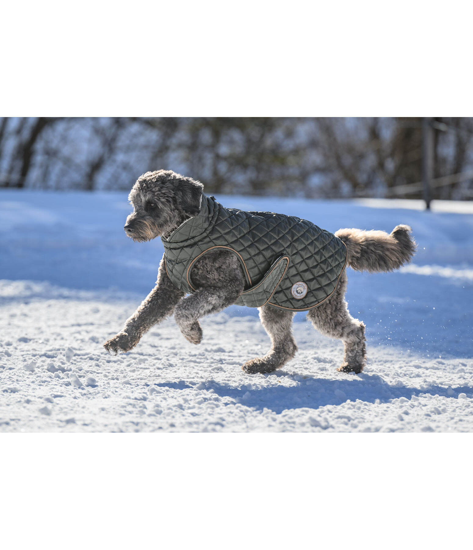 Cappotto per cani Archie con pelliccia sintetica, 160 g