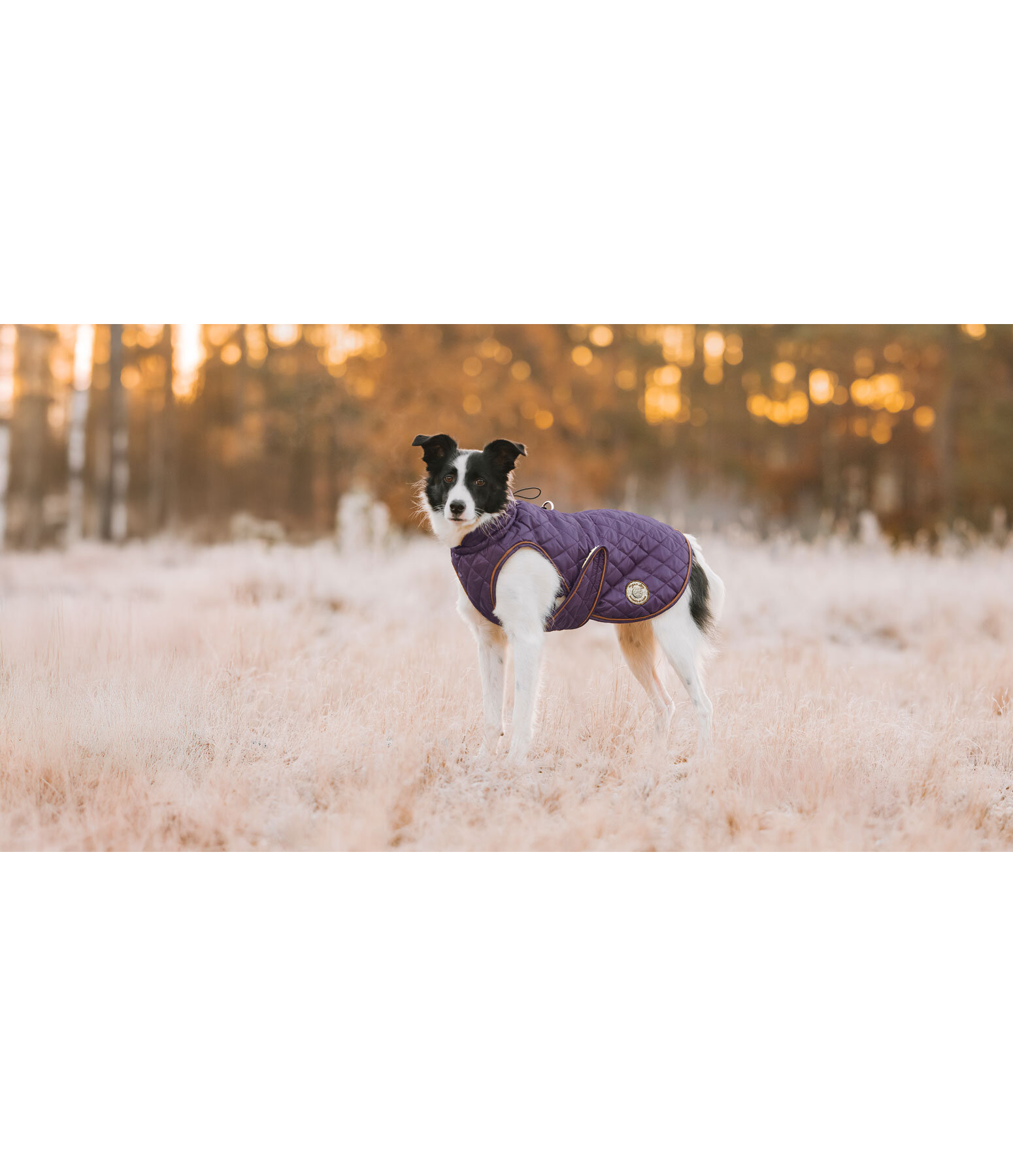Cappotto per cani Archie con pelliccia, 160 g