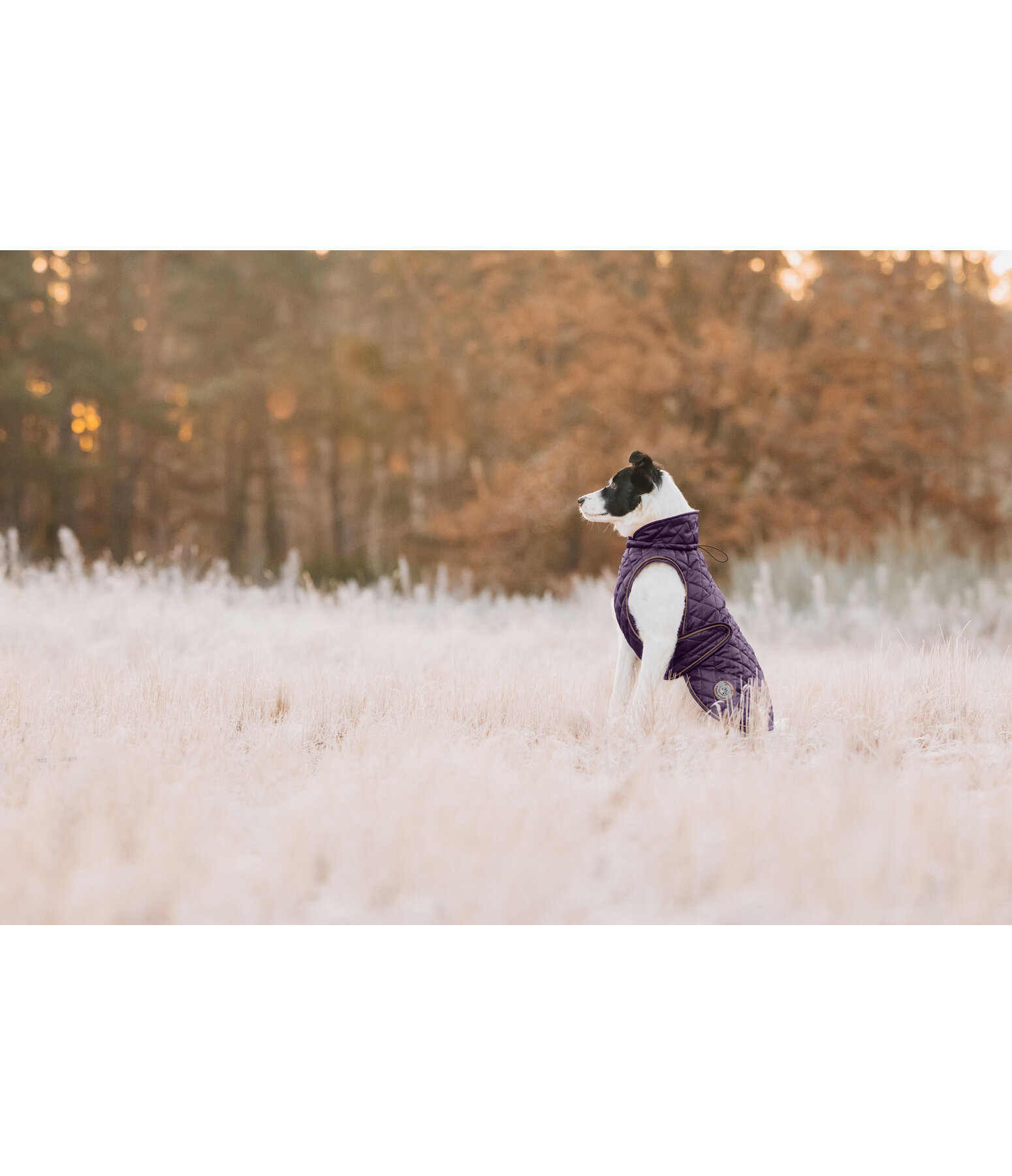 Cappotto per cani Archie con pelliccia, 160 g