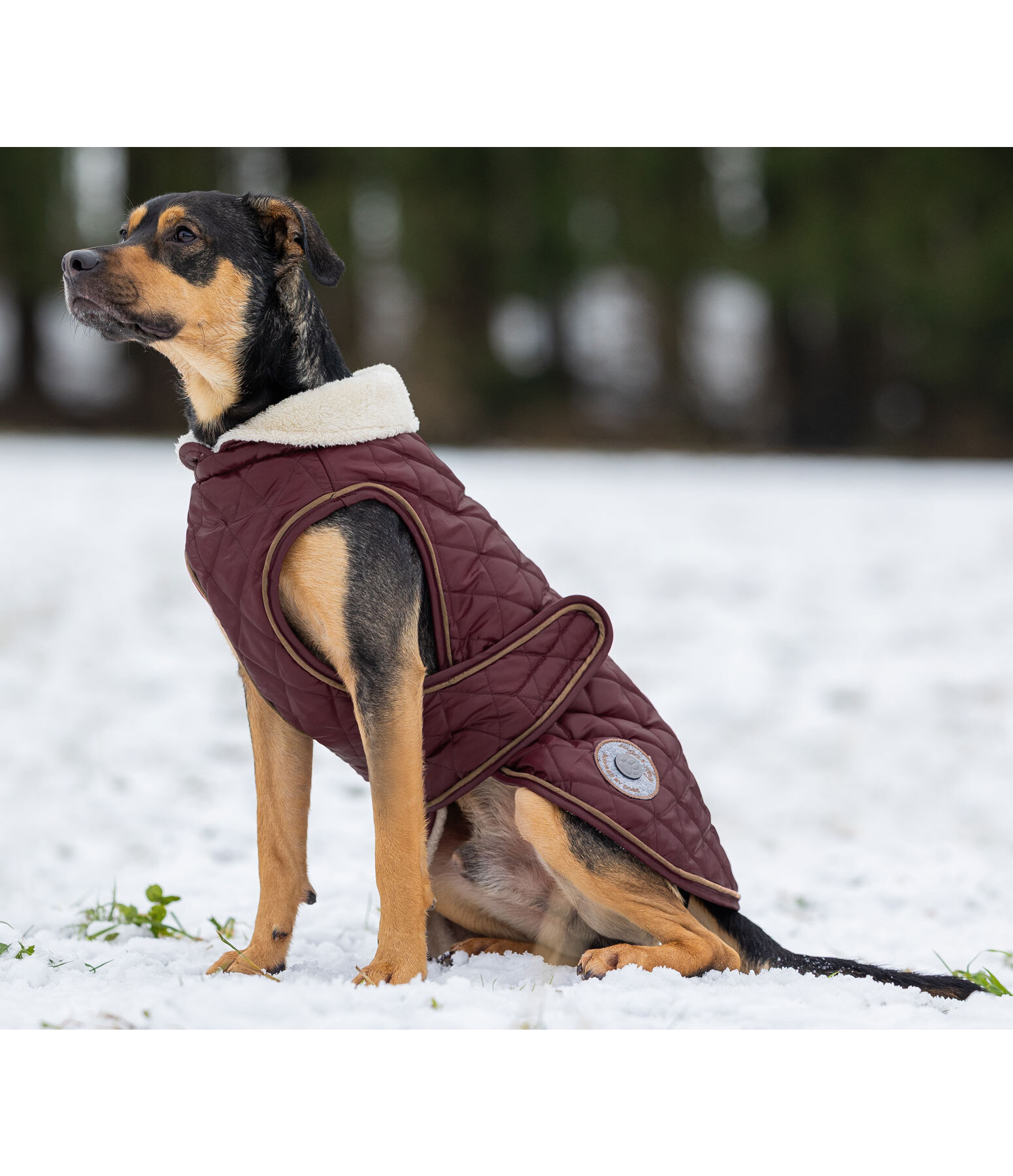 Cappotto per cani Archie con pelliccia, 160 g
