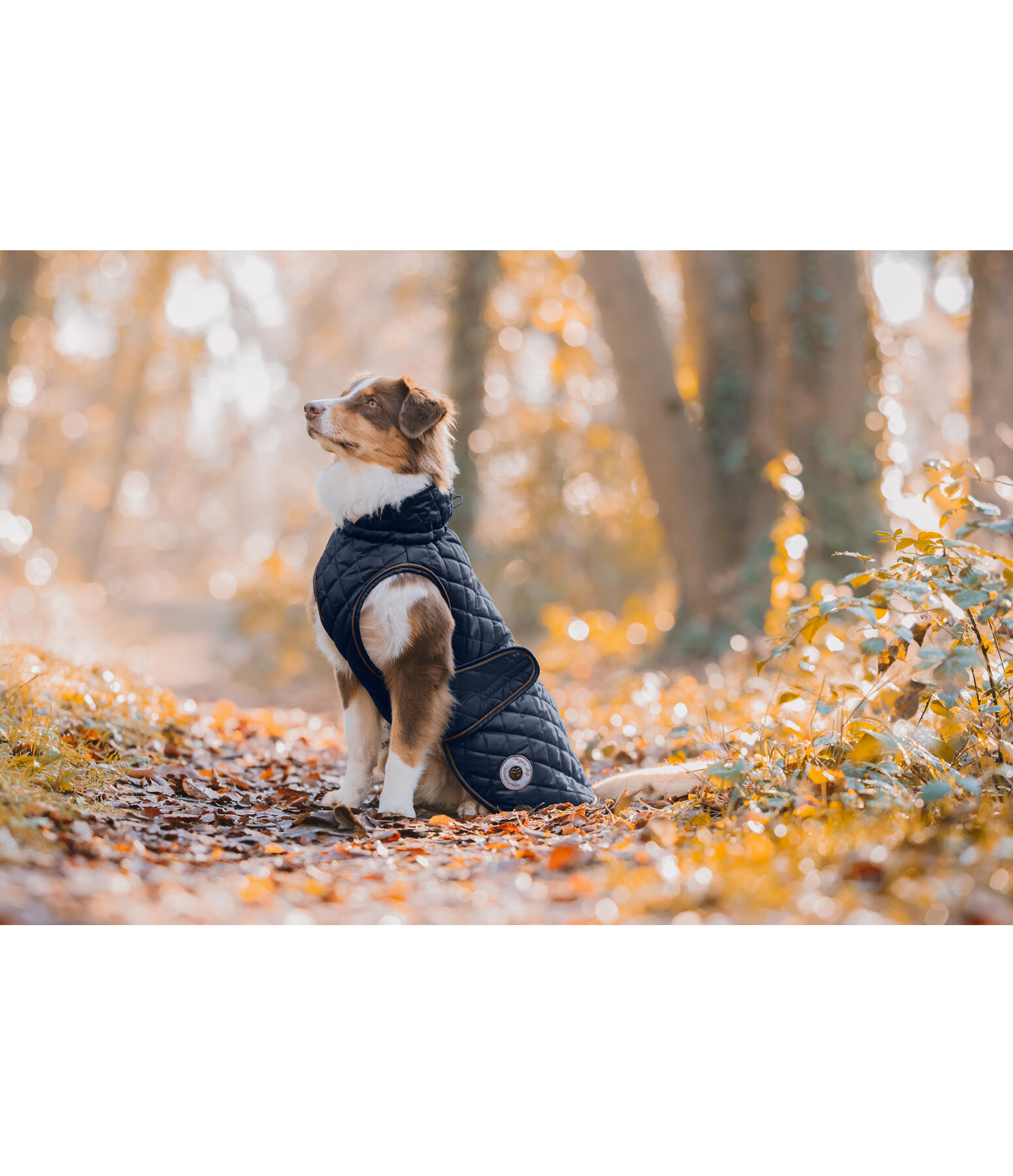 Cappotto per cani Archie con pelliccia, 160 g