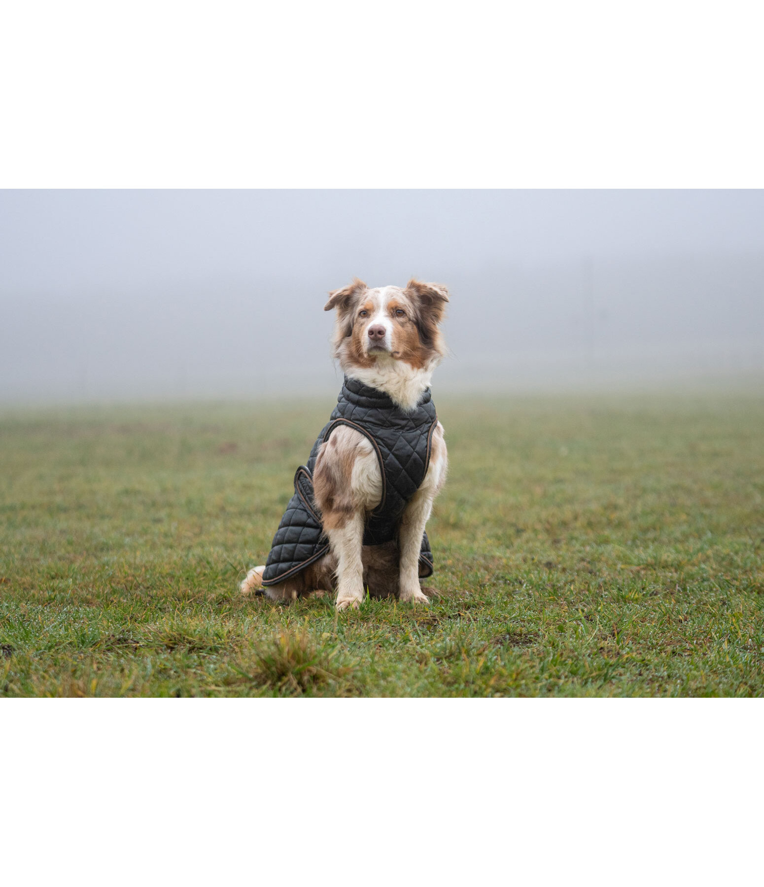 Cappotto per cani Archie con pelliccia sintetica, 160 g