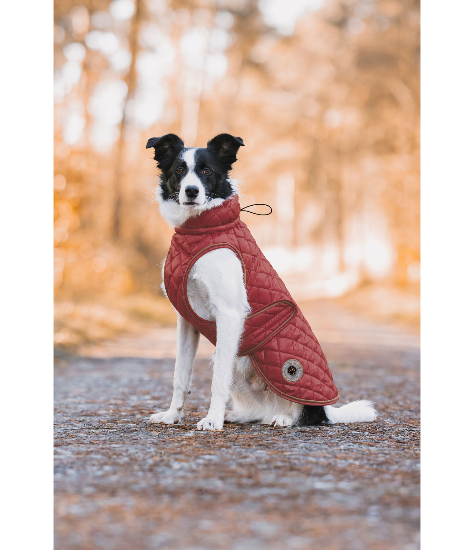 Cappotto per cani Archie con pelliccia, 160 g