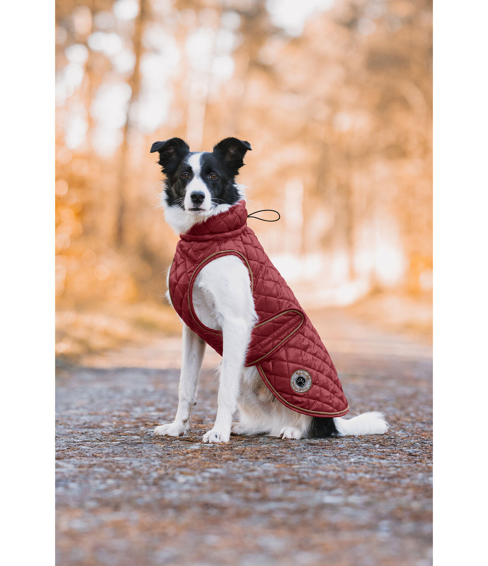 Cappotto per cani Archie con pelliccia sintetica, 160 g