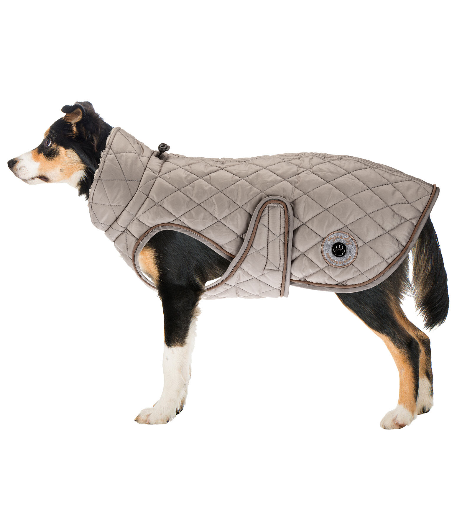 Cappotto per cani Archie con pelliccia, 160 g