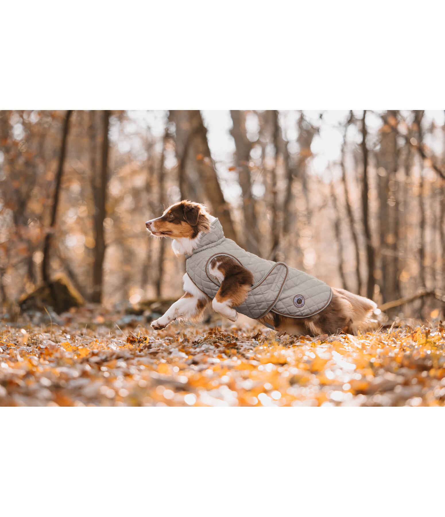 Cappotto per cani Archie con pelliccia, 160 g