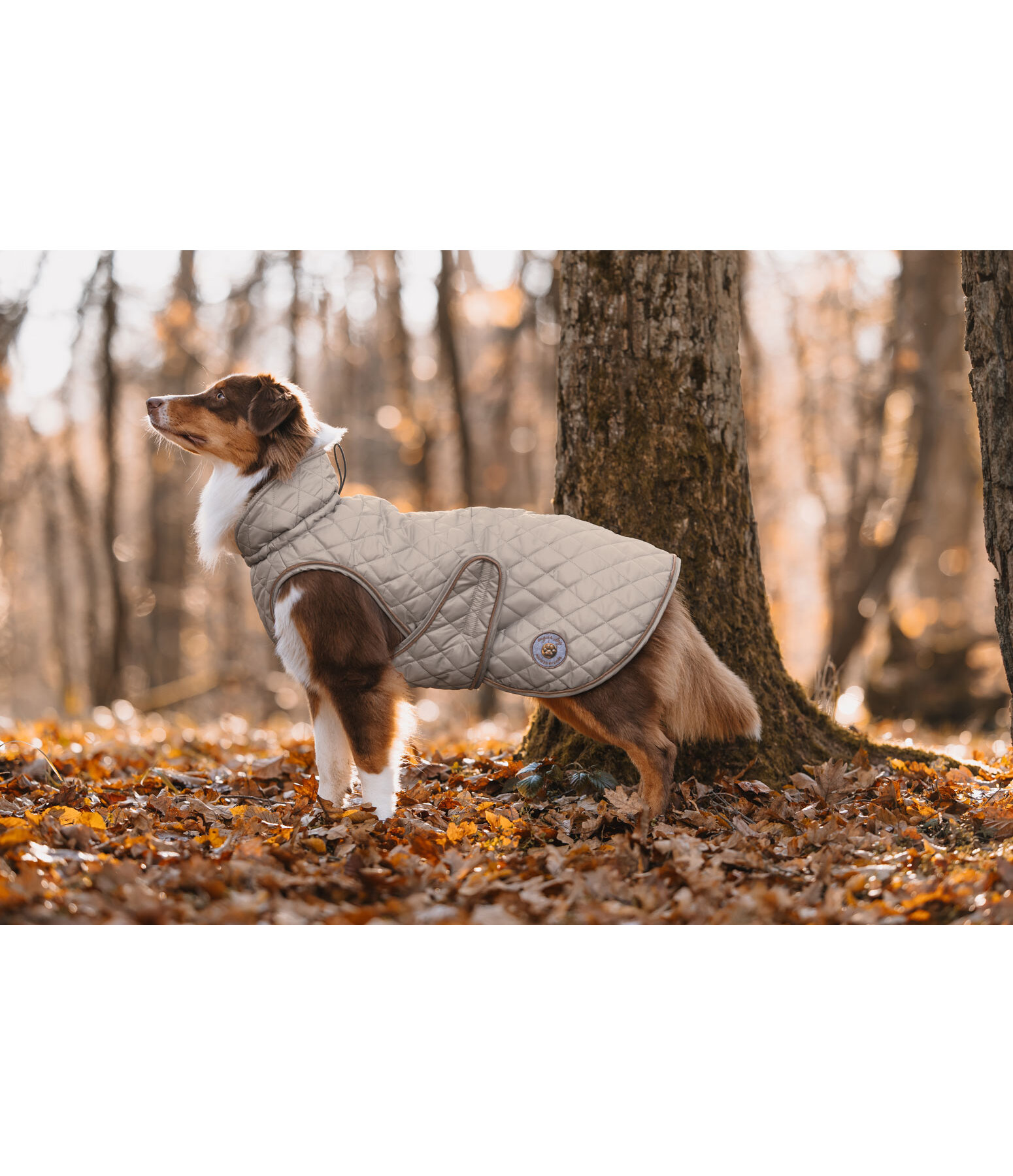 Cappotto per cani Archie con pelliccia, 160 g