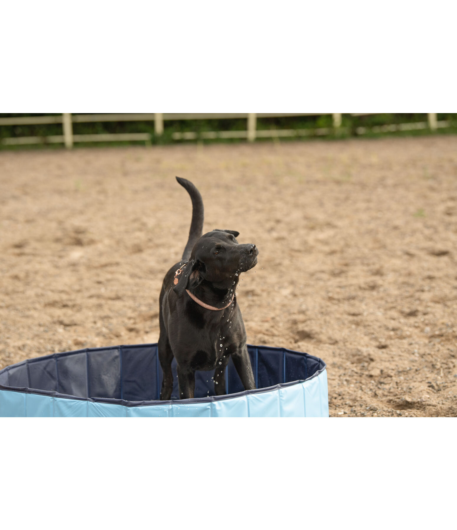 Piscina per cani Kaya