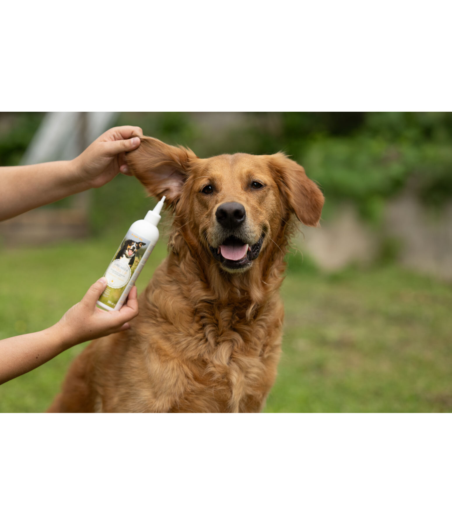 Detergente per orecchie per cani Listen Up