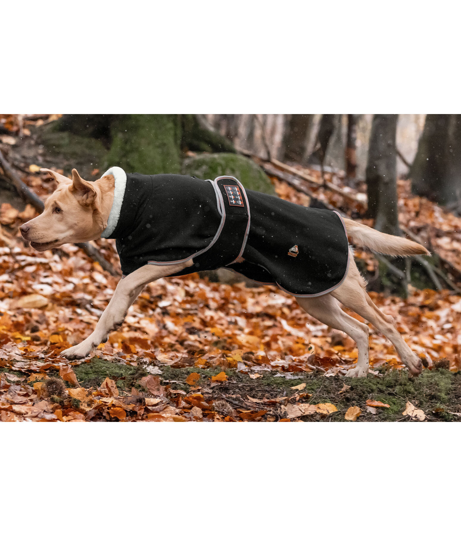 Cappotto in pile per cani Ceramic Rehab