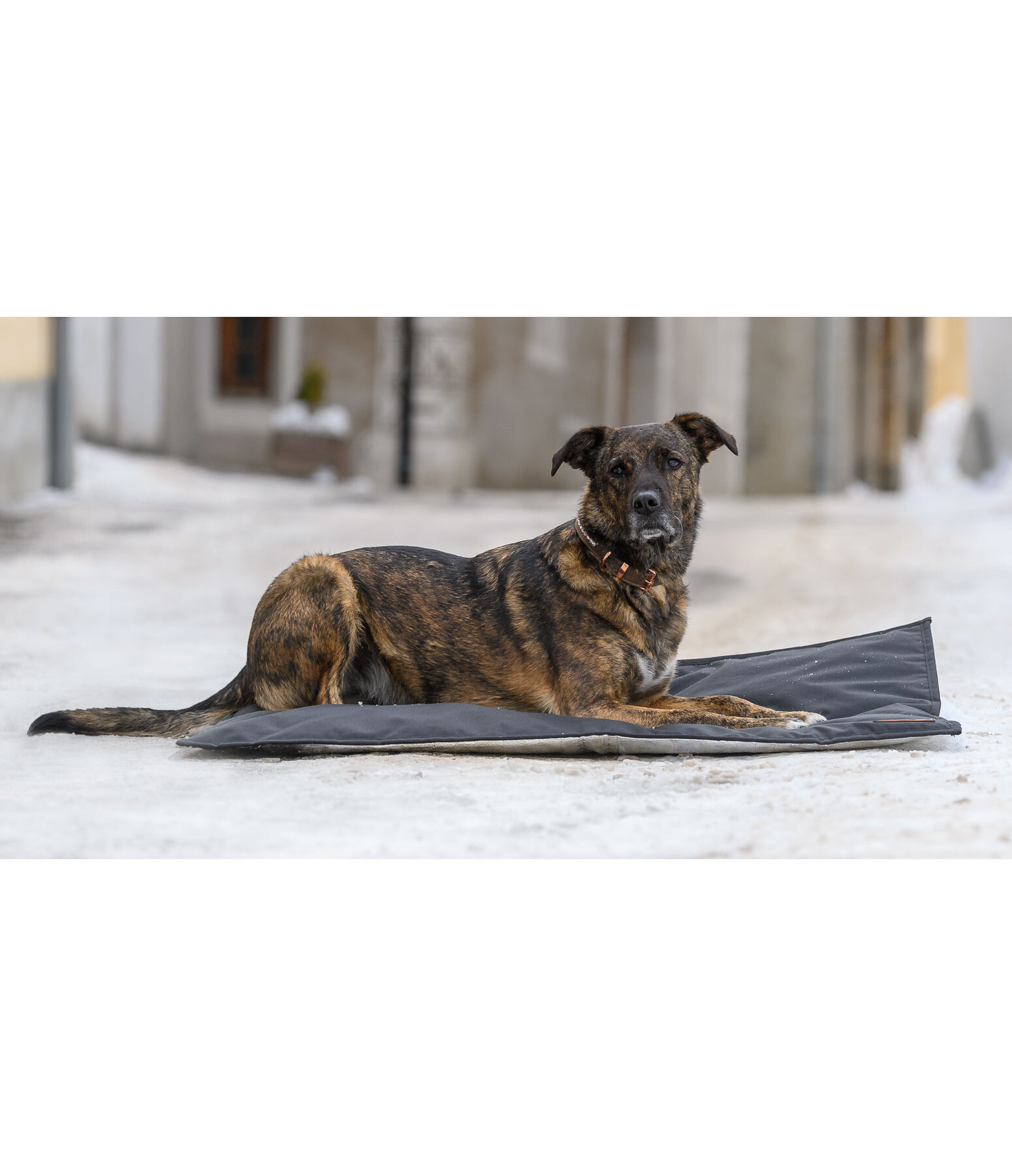 Coperta termica per cani Ceramic Rehab