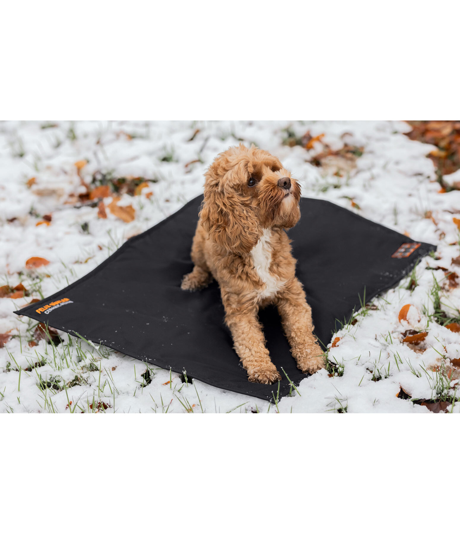 BOHORIA Pure – Coperta Termica In Cotone 150x200 Cm – Colore Toffee – Certificata Oeko-Tex