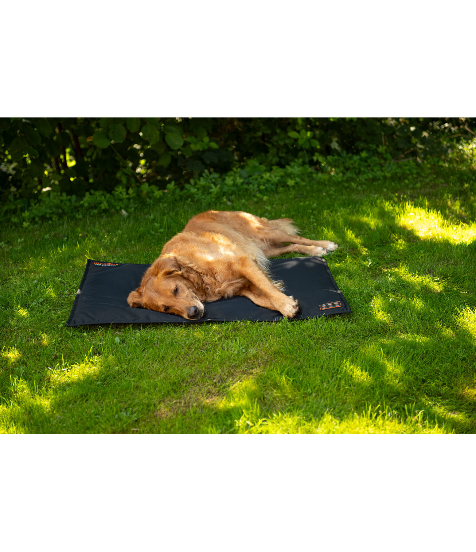 Coperta termica per cani Ceramic Rehab
