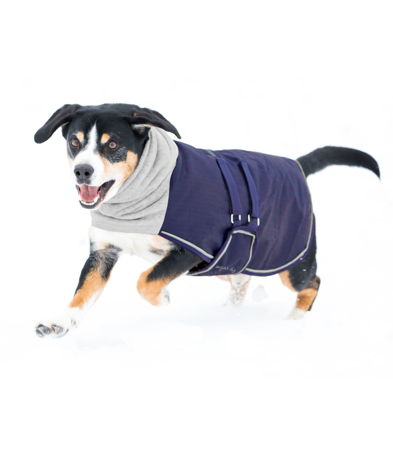 Cappotto invernale con pile per cani Juniper, 200 gr