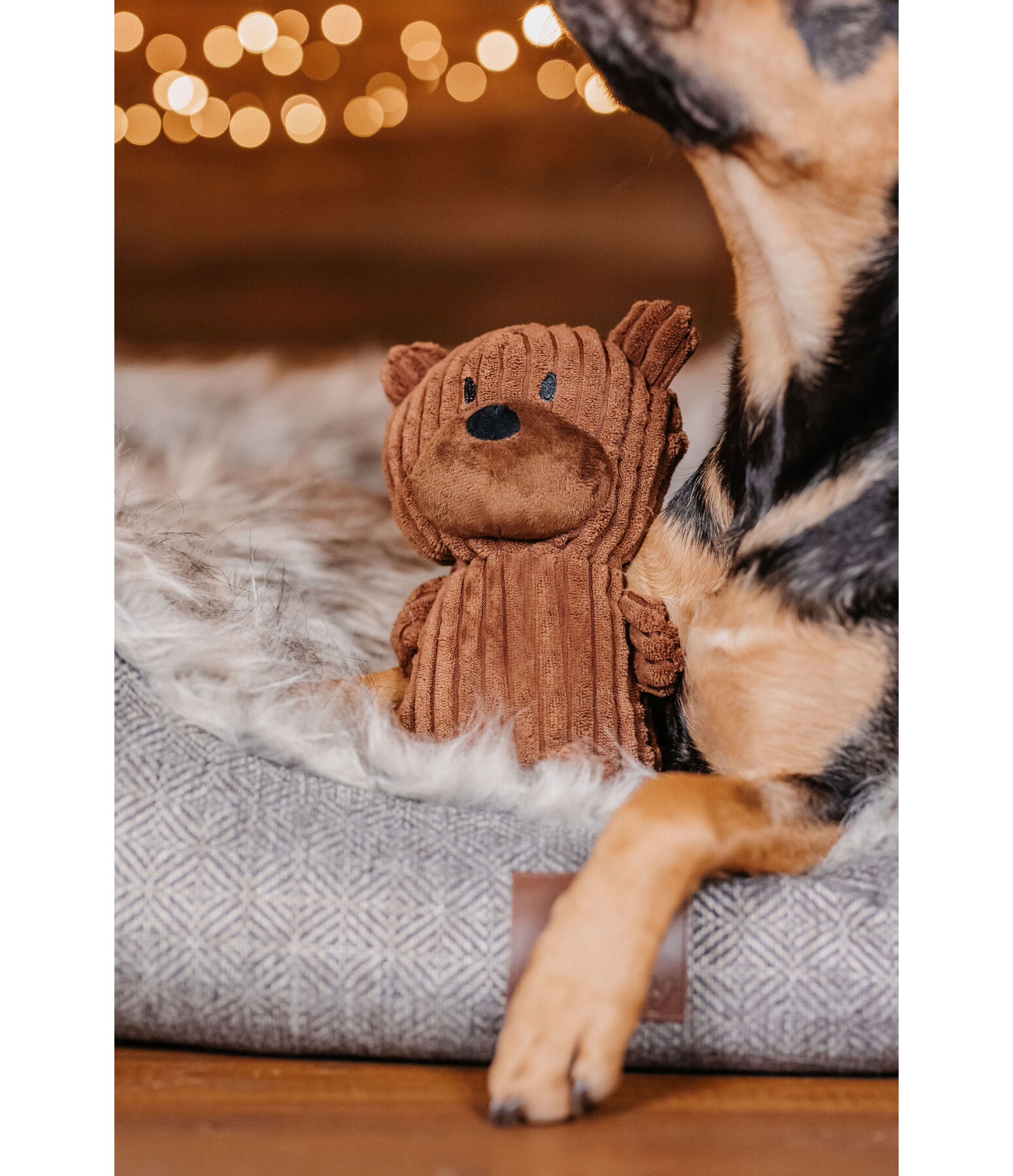 Orso peluche per cani Bruno