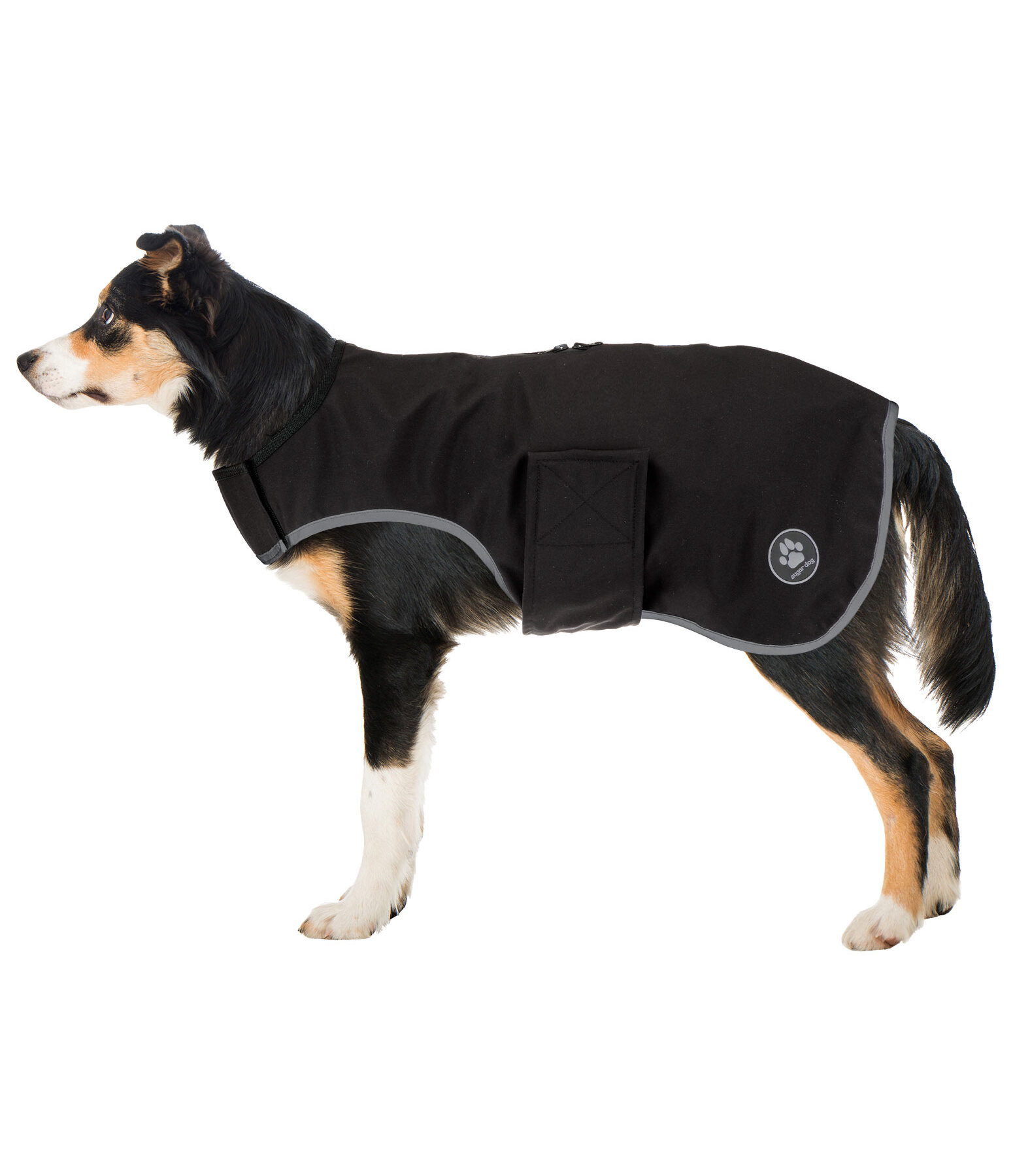 Softshell Walker per cani Athlete, 0 g