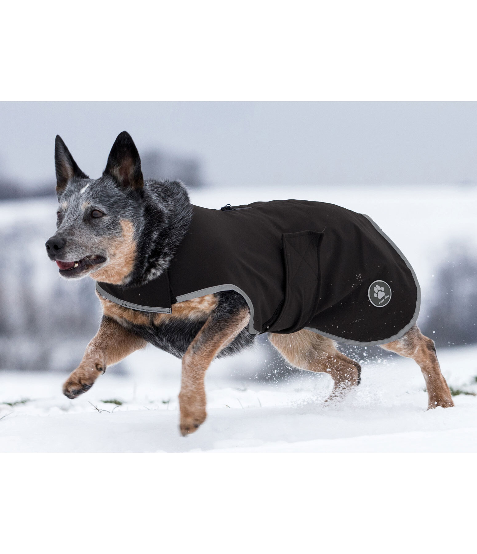 Softshell Walker per cani Athlete, 0 g