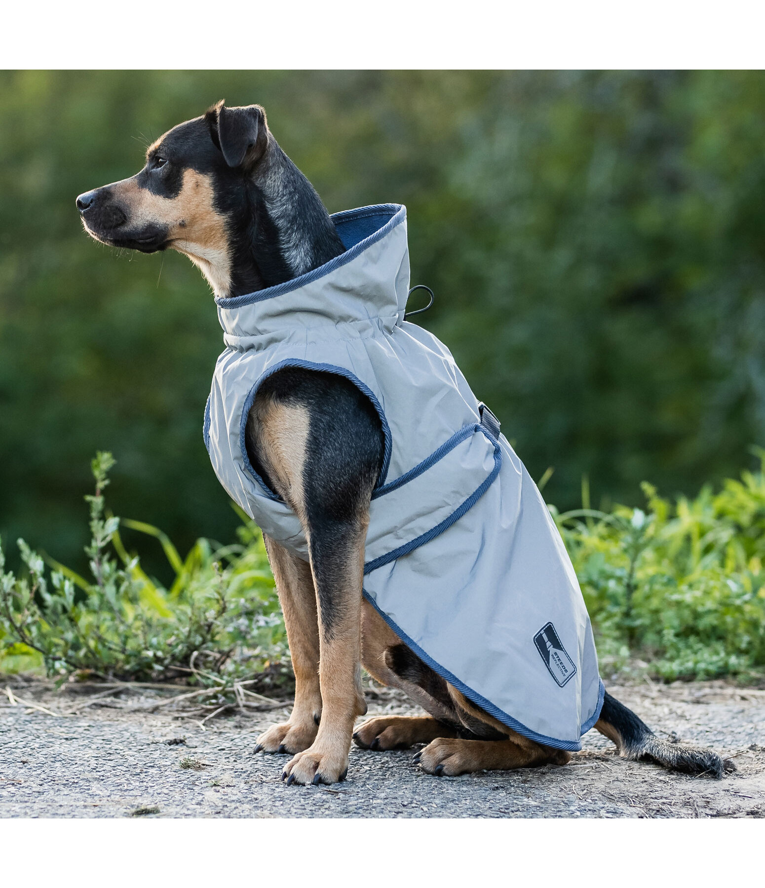 Cappotto per cani riflettente Safety First, 0 gr