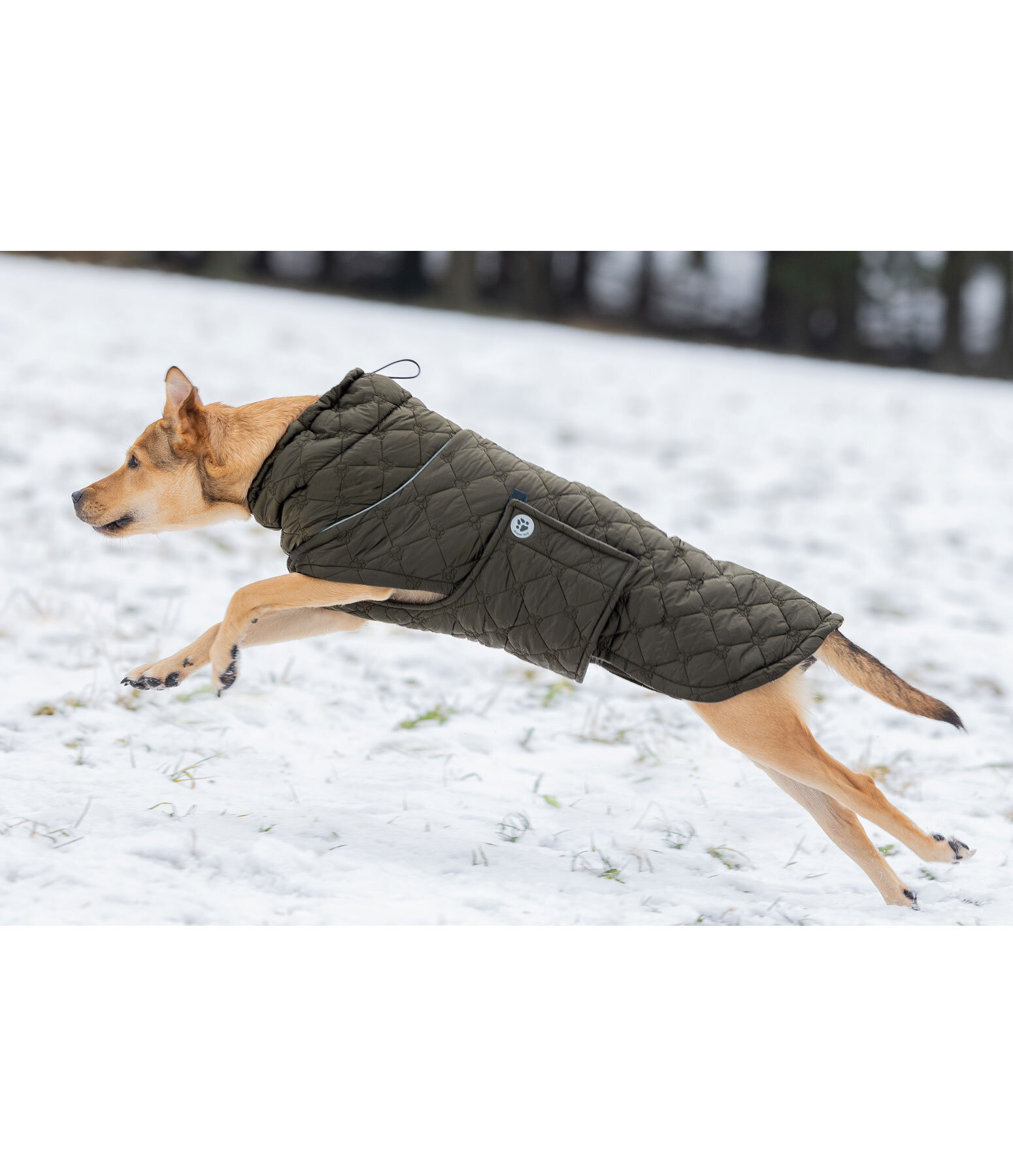 Cappotto trapuntato per cani Lightweight Cliff con pile, 200 g