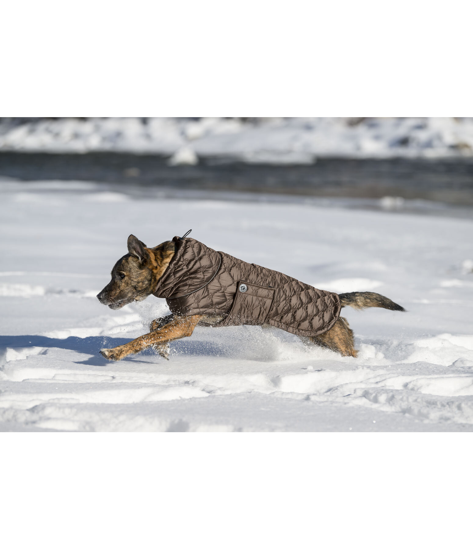 Cappotto trapuntato per cani Lightweight Cliff con pile, 200 g