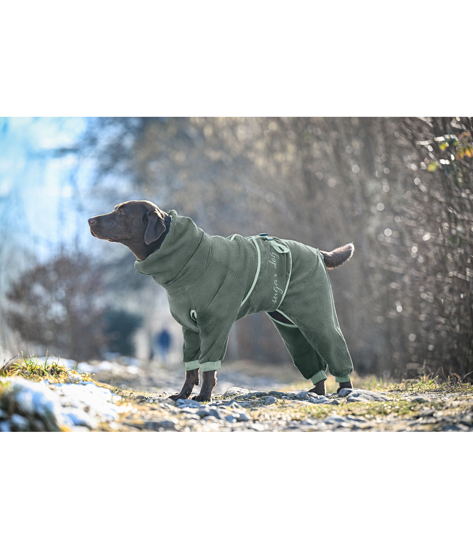 Accappatoio Per Cani Bassotti / SPEDIZIONE GRATUITA NEL REGNO UNITO / Cotone Super Assorbente / Asciugatura Rapida Assorbente / Asciugamano Per Cani / Accappatoio Per Cani / BillowK9 - Italia