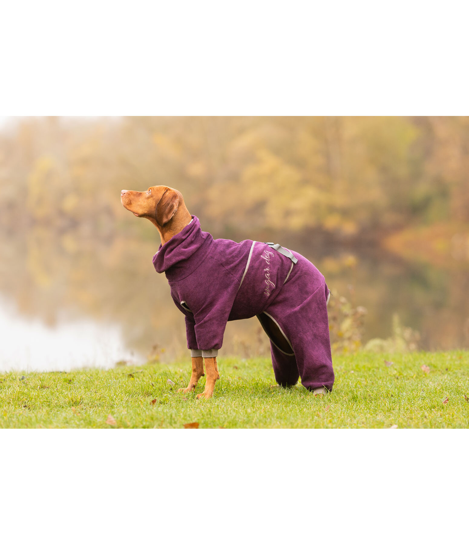 Accappatoio per cani Allover Dry