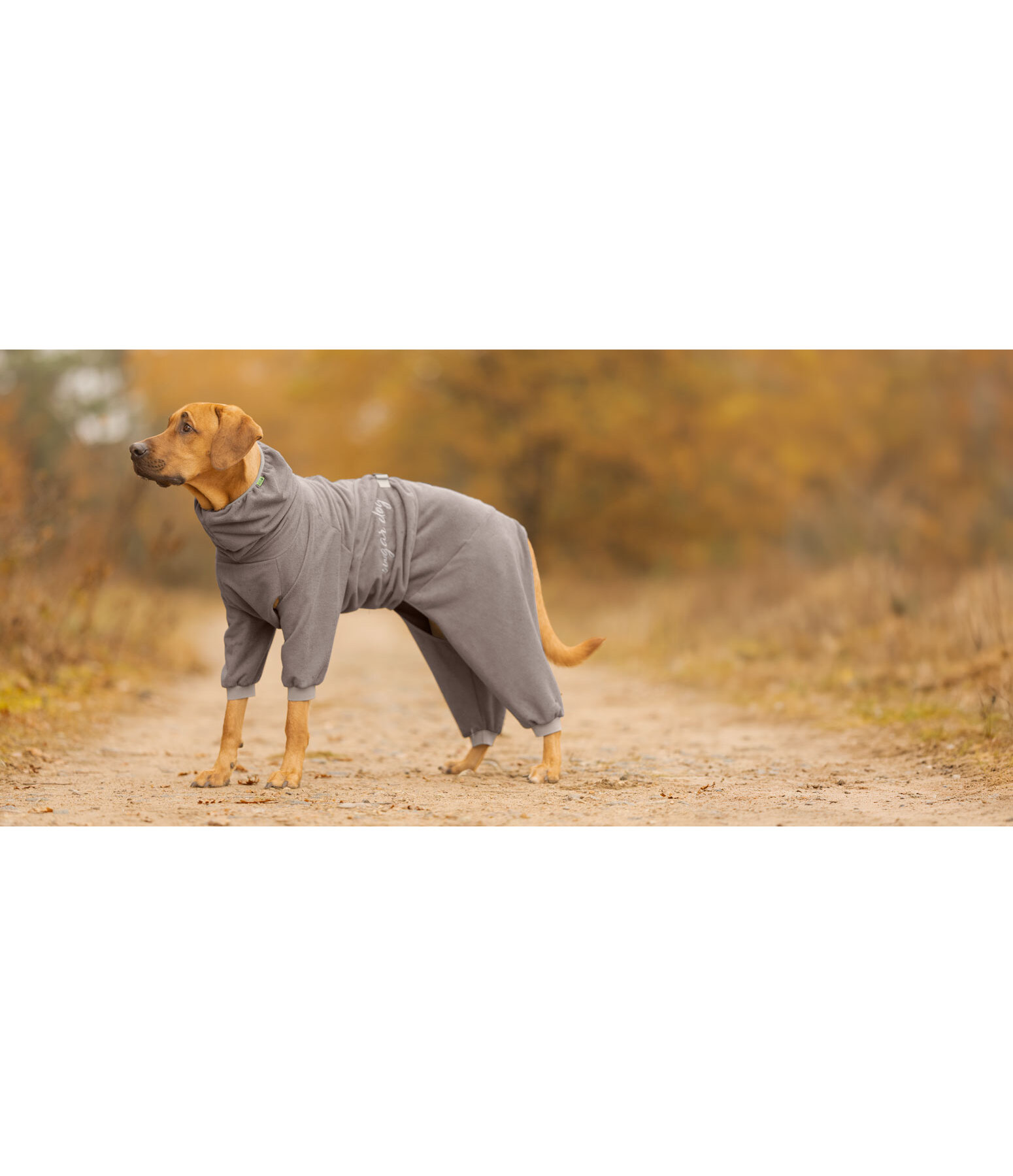 Accappatoio per cani Allover Dry