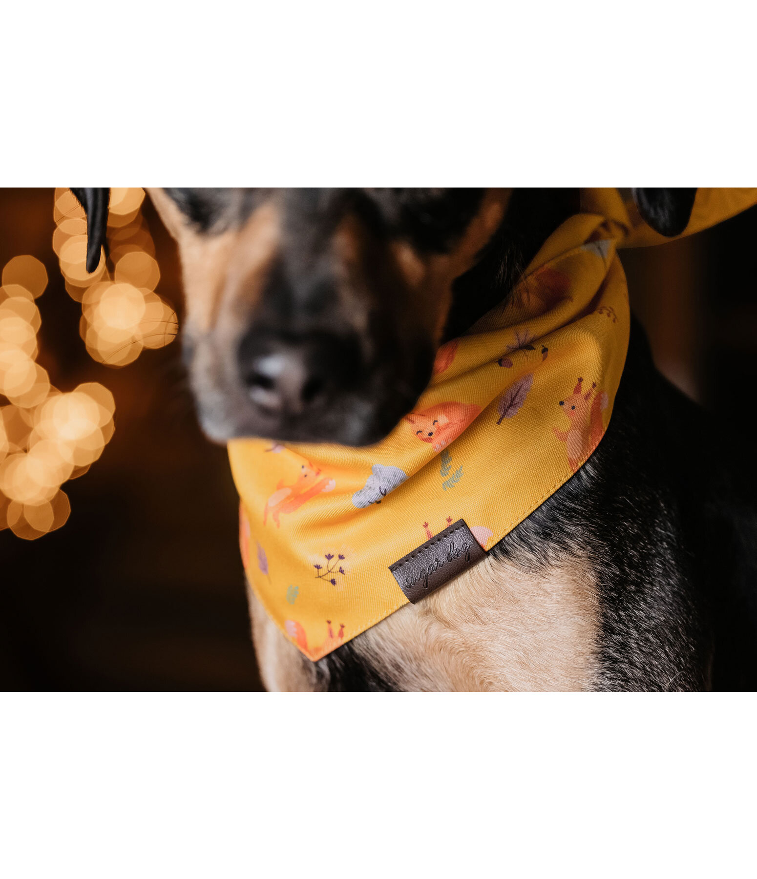 Bandana reversibile per cani Emil