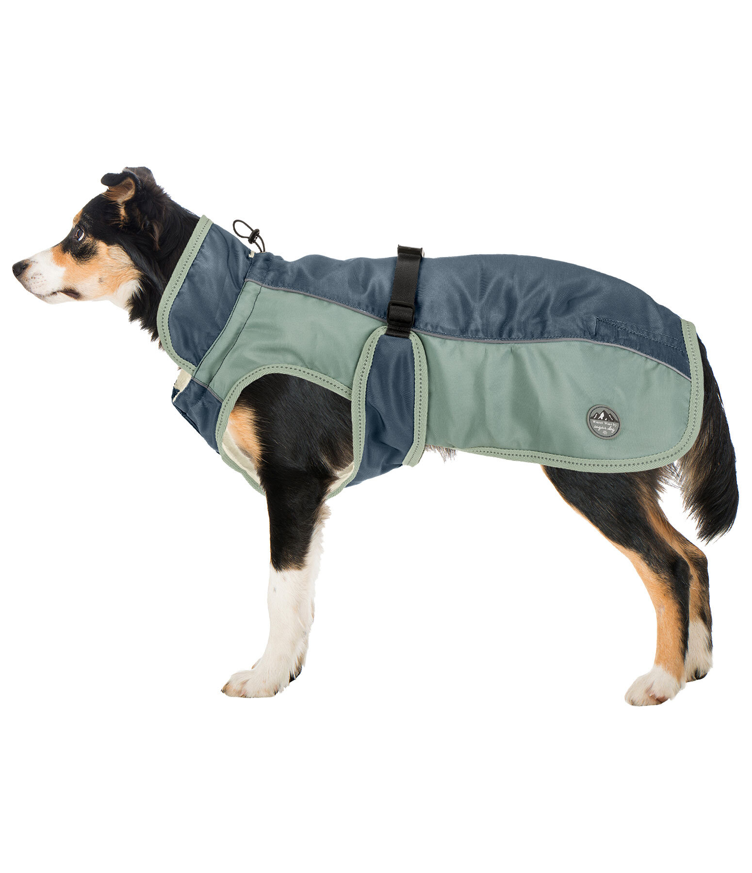 Cappotto invernale per cani Glacier Bay con interno in pile, 100 gr