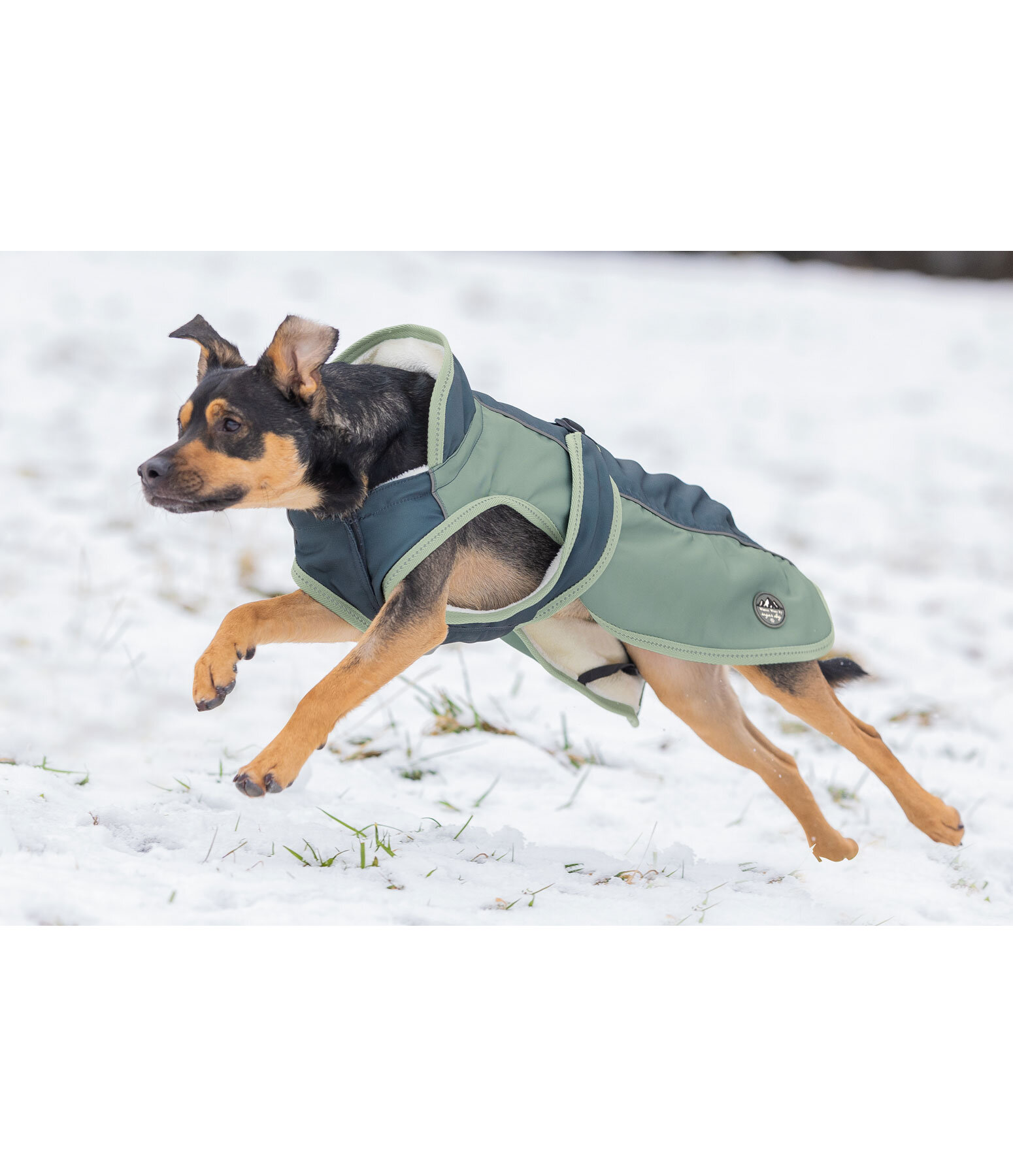 Cappotto invernale per cani Glacier Bay con interno in pile, 100 gr