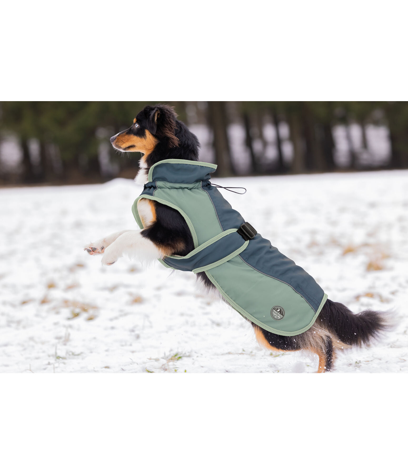 Cappotto invernale per cani Glacier Bay con interno in pile, 100 g