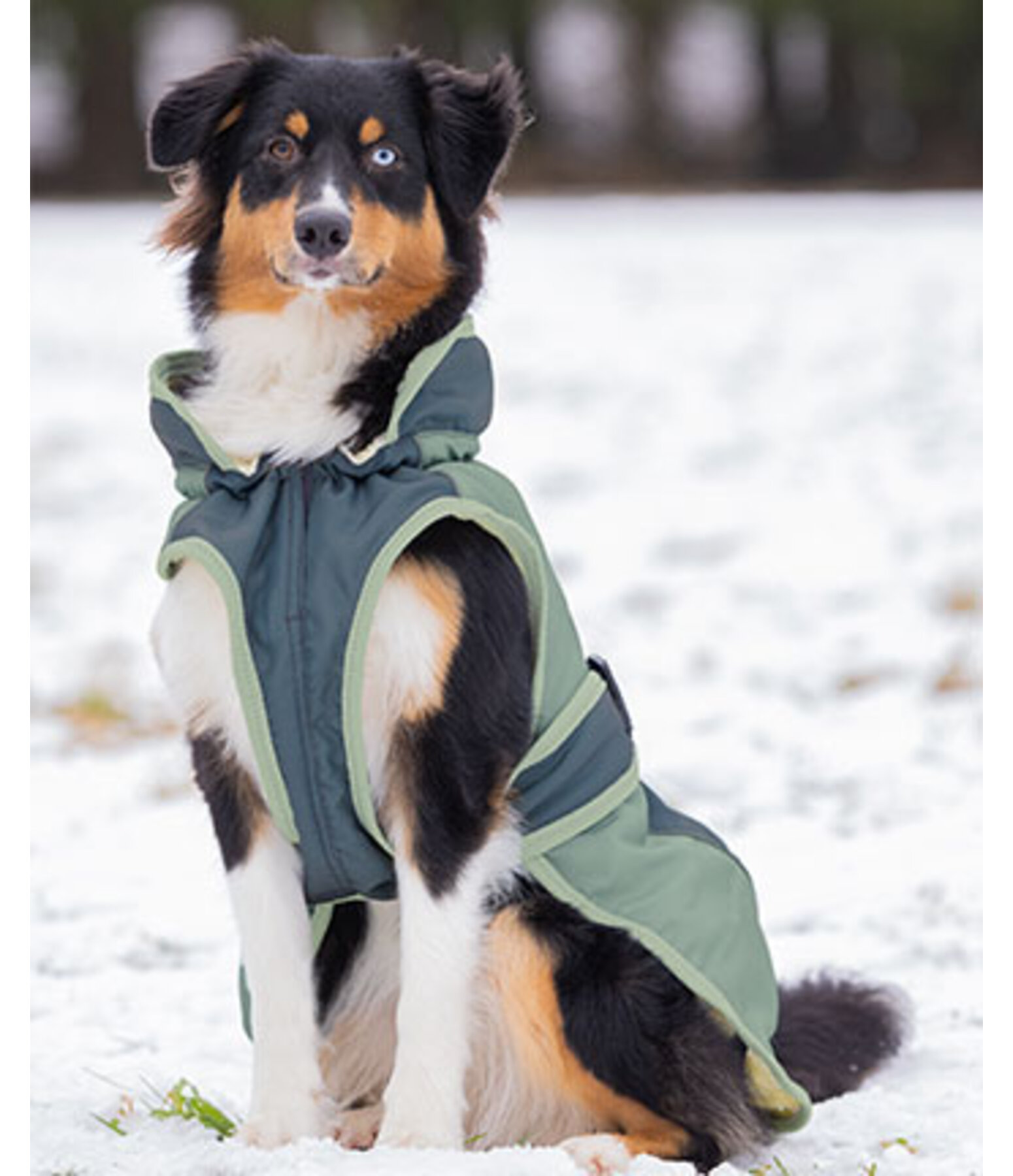 Cappotto invernale per cani Glacier Bay con interno in pile, 100 g