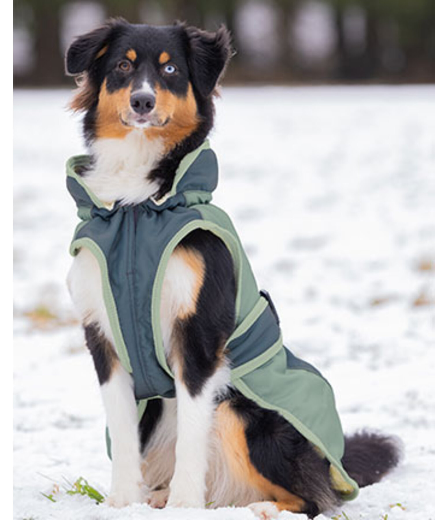 Cappotto invernale per cani Glacier Bay con interno in pile, 100 gr