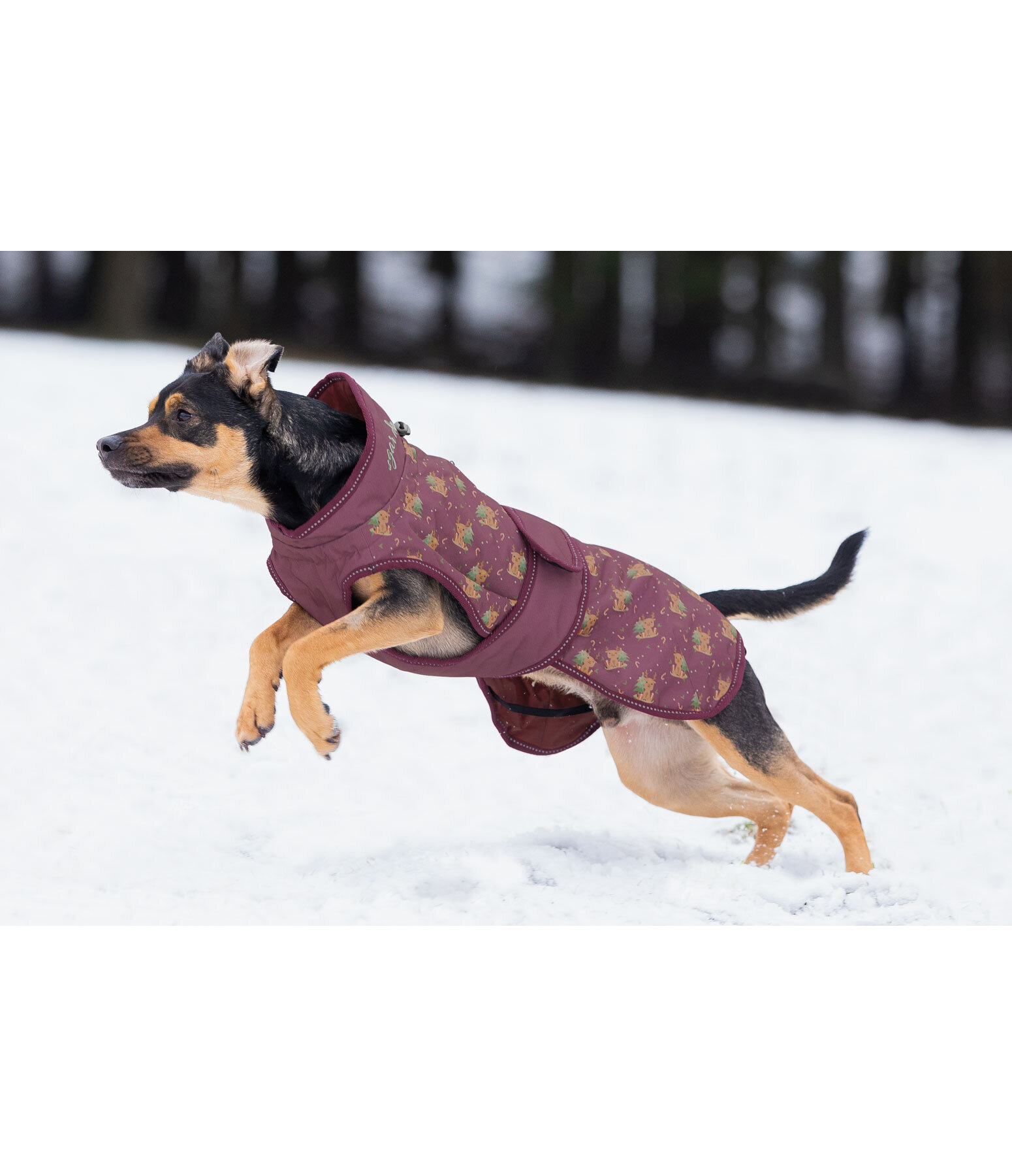 Cappotto invernale per cani Candy Cane, 120 g