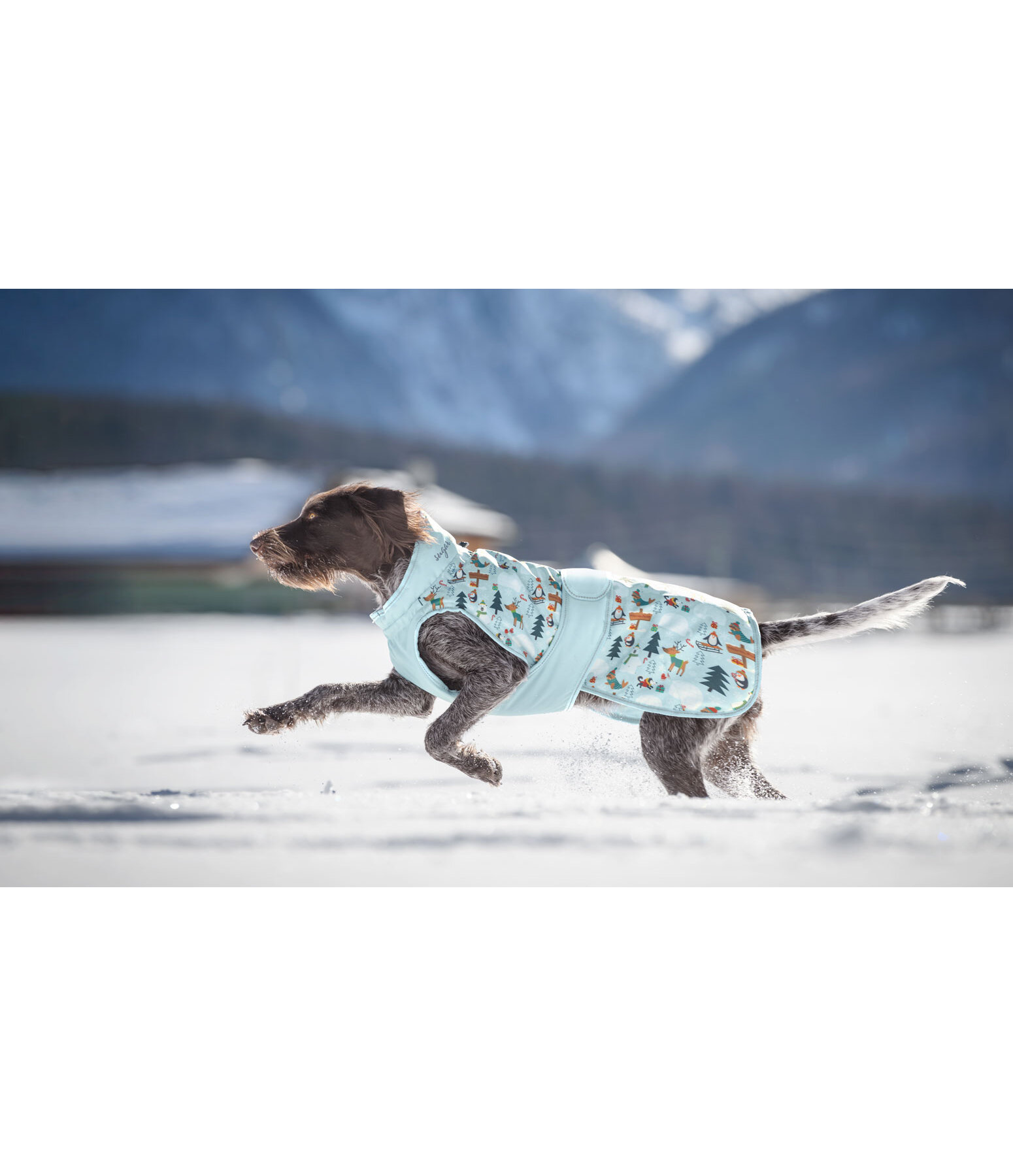 Cappotto invernale per cani Candy Cane, 120 g