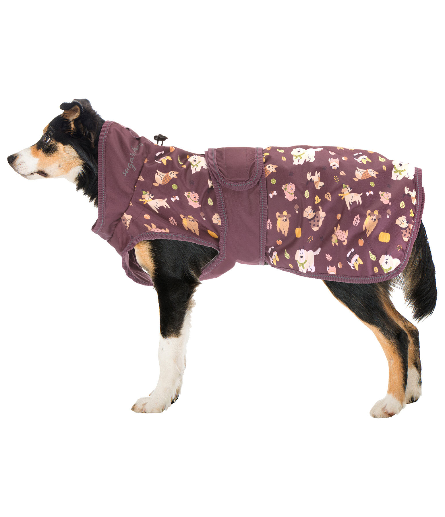 Impermeabile per cani Pumpkin Spice, 0 g