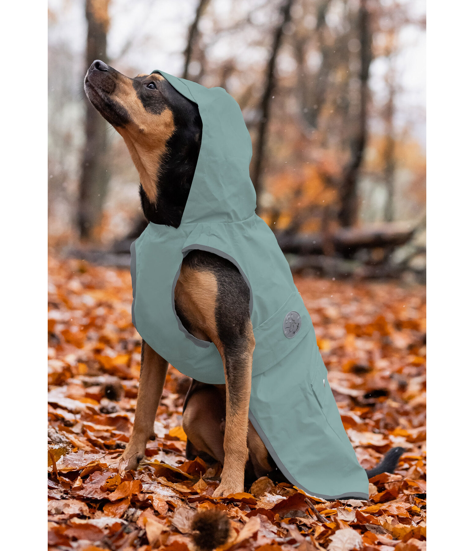 Impermeabile per cani Waterton Lakes, 0 gr